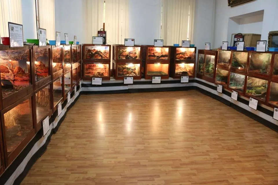 Giurgiu: Expoziţie la Muzeul Judeţean cu odoare bisericeşti restaurate de către Dan Iliescu