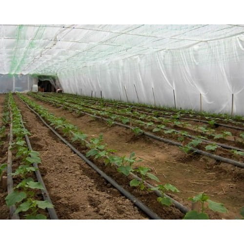 Solariile – sa fie oare viitorul agriculturii? Afla de la specialistii in domeniu