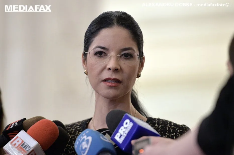 Birchall despre raportul MCV: Nu e încă aprobat