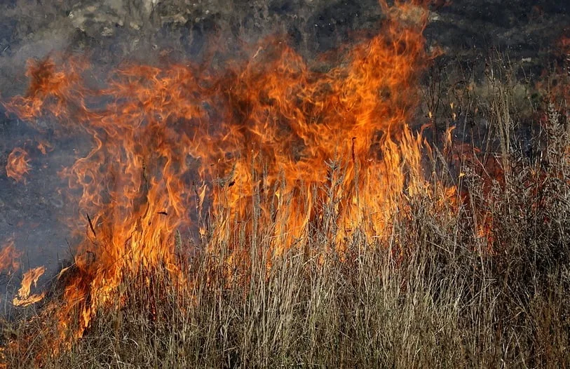 Incendiu de vegetaţie in Noua Zeelanda este controlat de pompieri