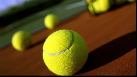 Novak Djokovic a avansat în sferturile de finală ale turneului de la Paris