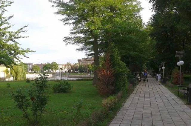 Seringi folosite, găsite de copiii care se jucau într-un parc din Arad