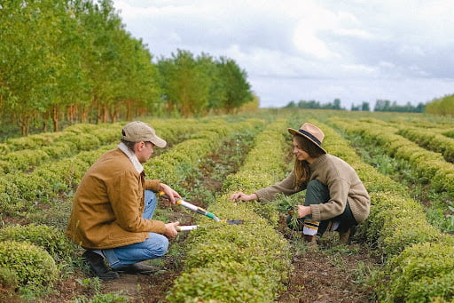 Ce înseamnă un business în agricultură eco-friendly?