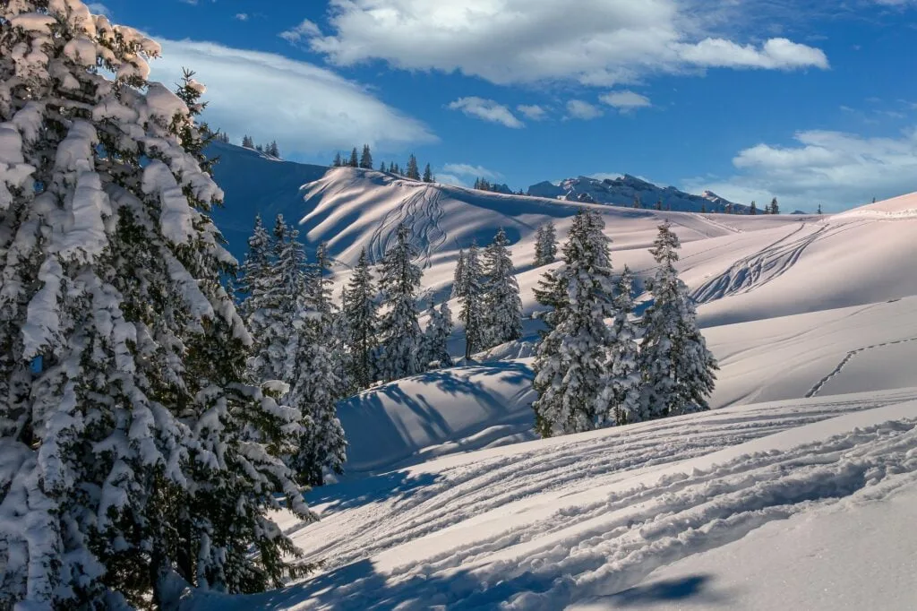 winter-4680713_1920