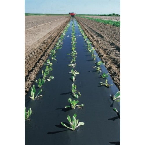 Folie mulcire agrotextil pentru recolte magice