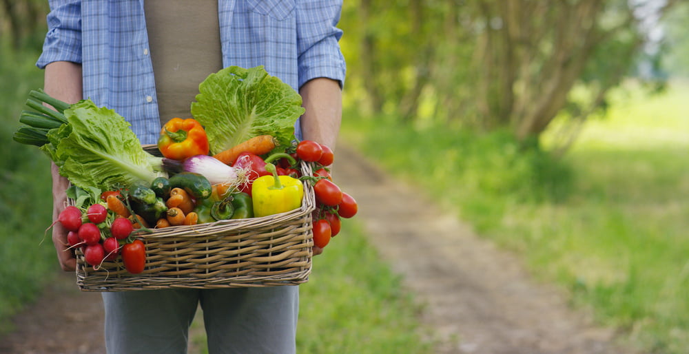 De ce să alegi produse alimentare bio? 5 beneficii pentru sănătate