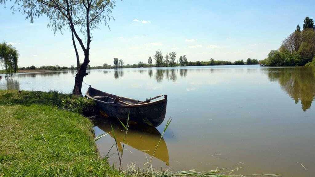 Cum influențează solunarul activitatea peștilor